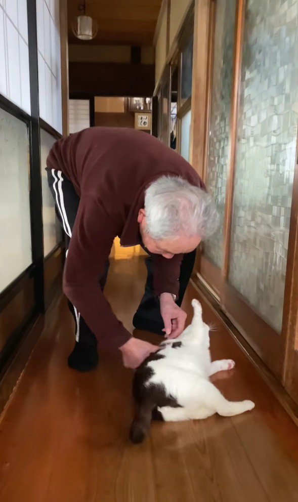 猫を回すおじいちゃん