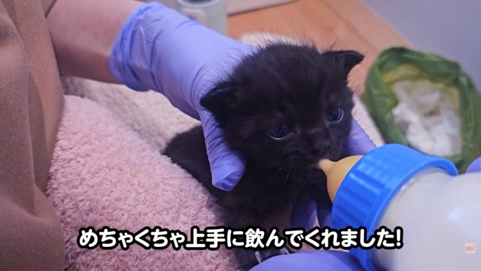 テロップ「めちゃくちゃ上手に~」