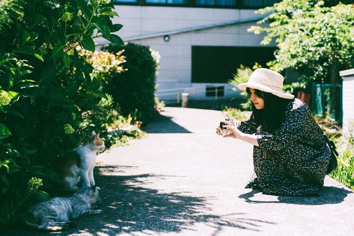 猫を撮影する旅行者