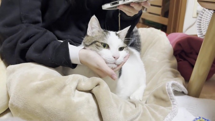 顎に手を置かれる豆大福さん