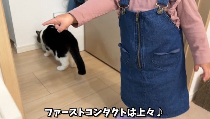 ファーストコンタクト