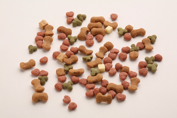 散らばったキャットフード