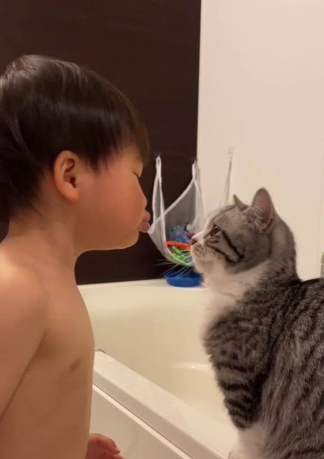 猫にキスをしようとしている子ども