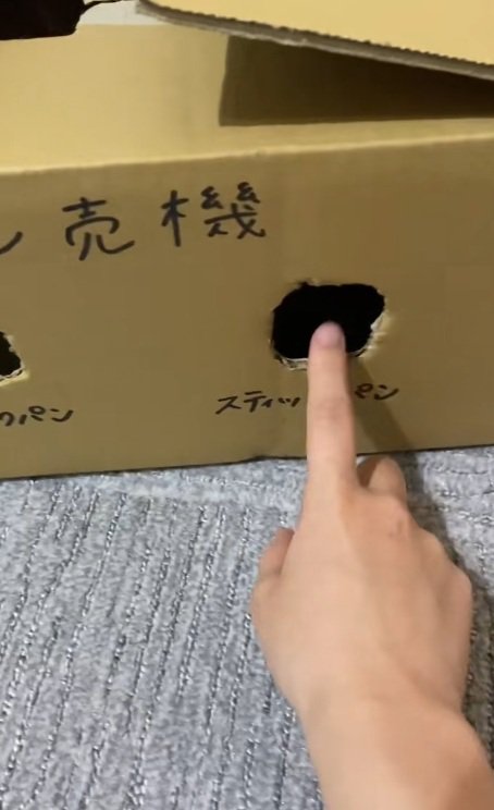 猫用の段ボールのおもちゃの穴に指を入れる