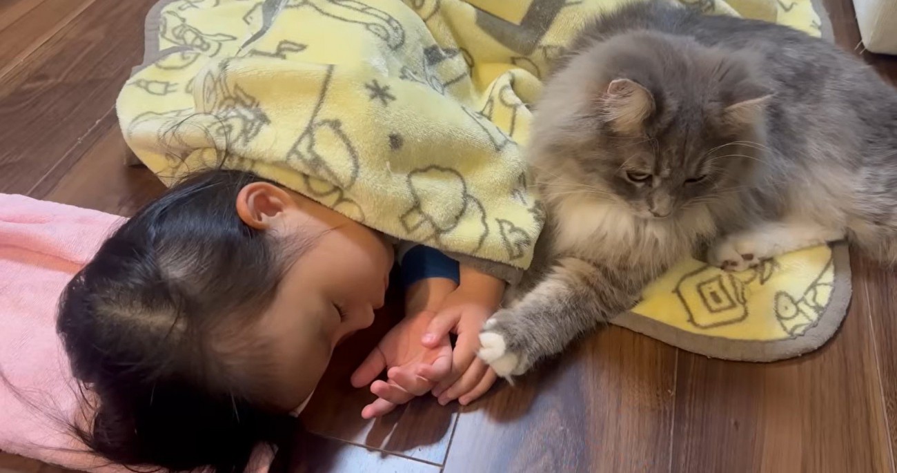 寝ている子どもと猫