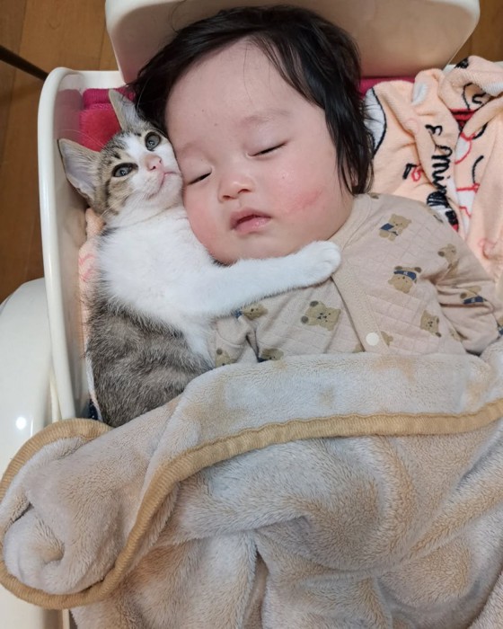 赤ちゃんを抱きしめる子猫