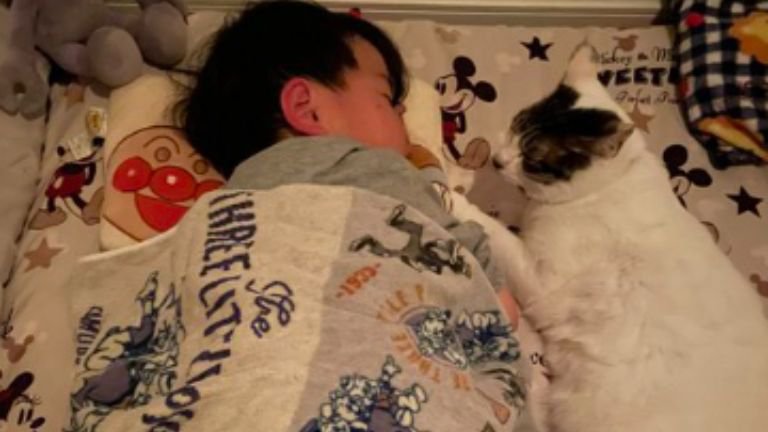 寝ている子どもと猫
