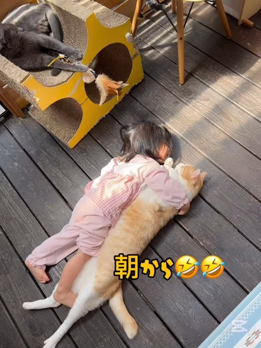 仰向けの猫を抱きしめる子供