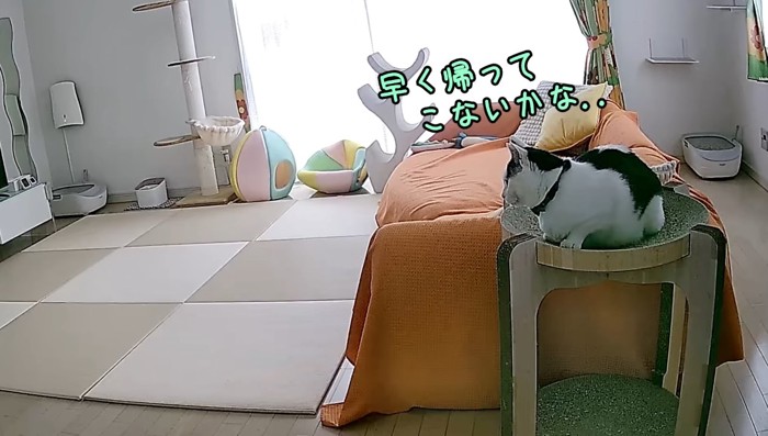 早く帰ってこないかな…