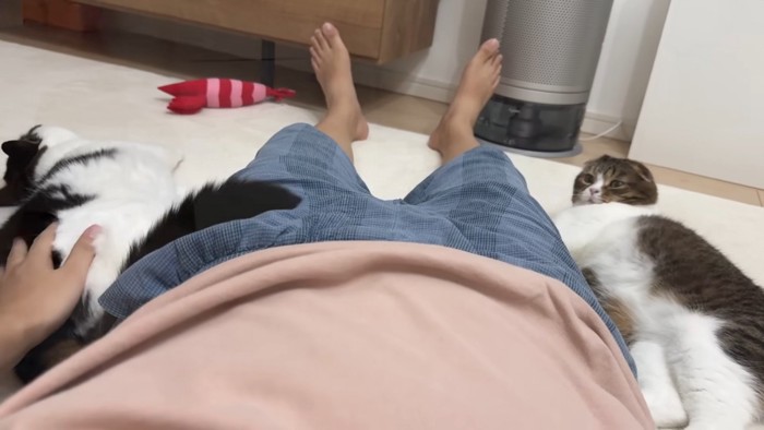 ぽこ太郎くんとうま次郎くんに挟まれるパパさん