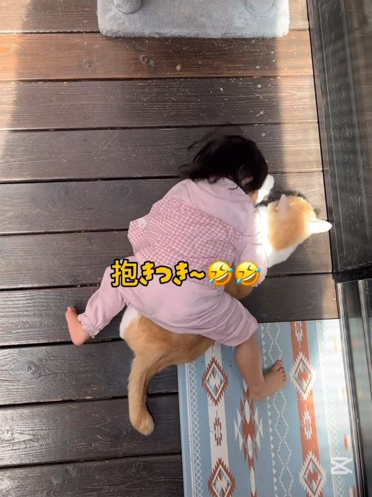 猫に上から抱きつく子供