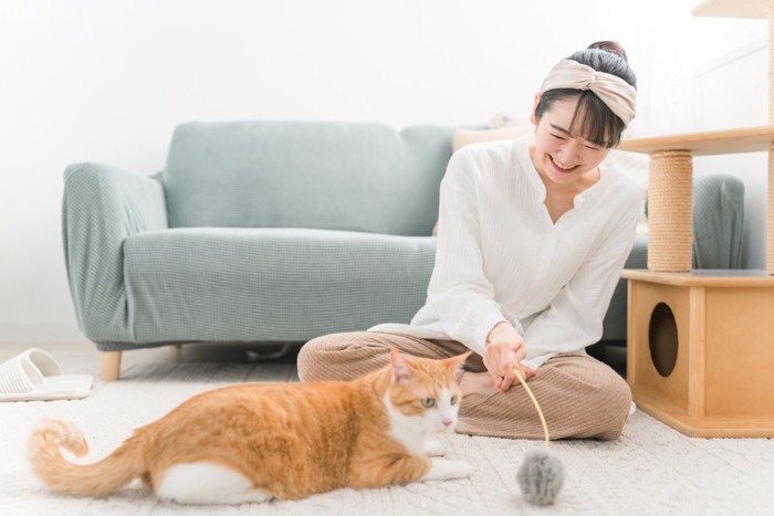 飼い猫と遊ぶ飼い主の女性