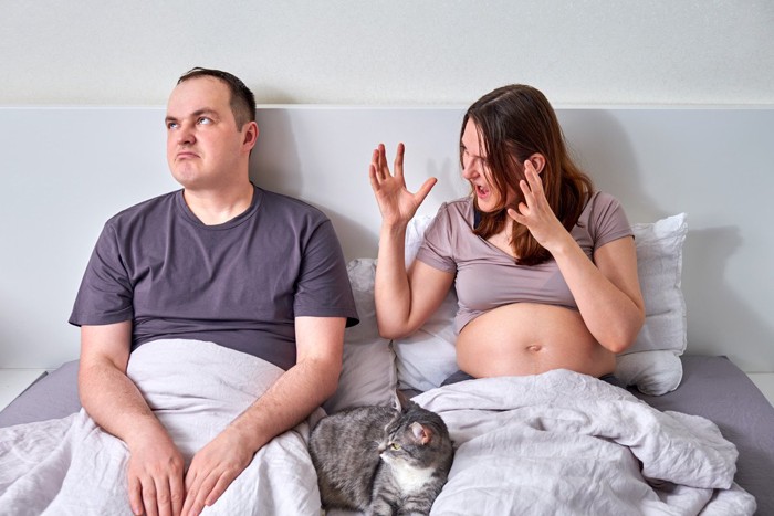 猫を挟んでケンカをする夫婦