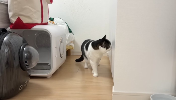 クローゼットの前で