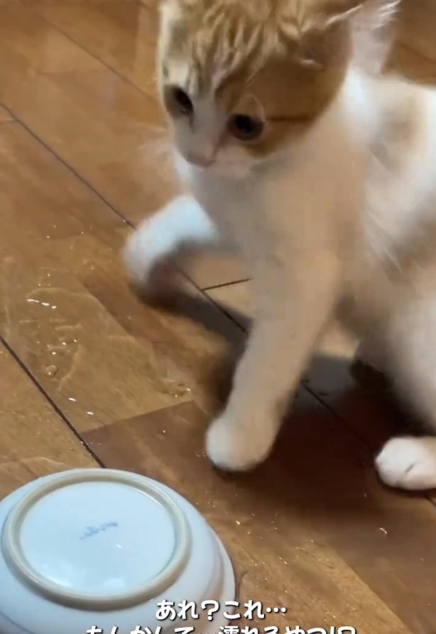 我に返ったのんちゃん