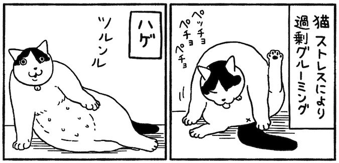 お腹を舐める猫の絵