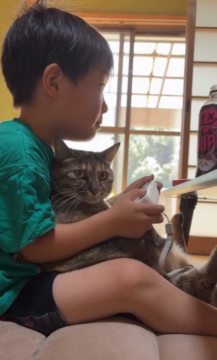 ゲームをしている男の子と猫