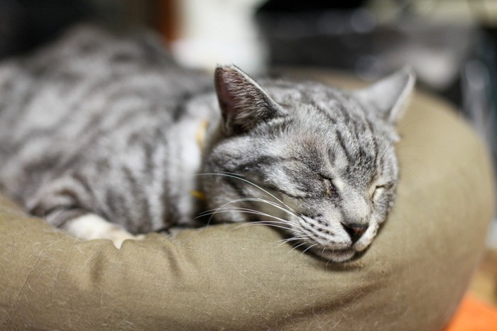 ベッドにあご乗せ