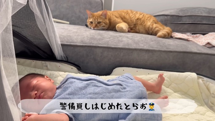 テロップ「警備員しはじめた~」