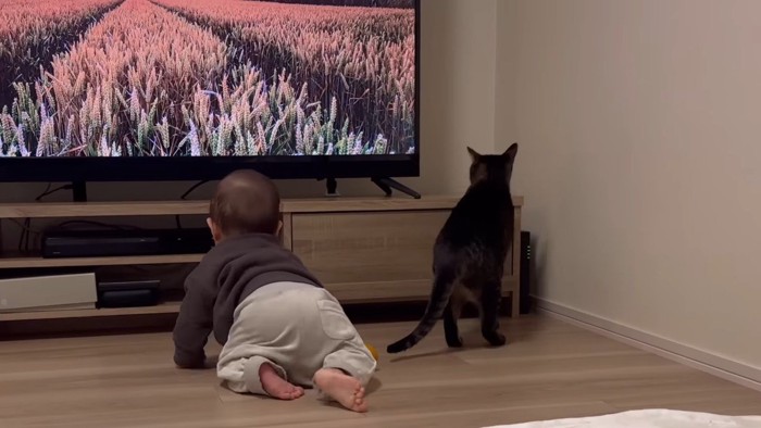 ふたりの後ろ姿