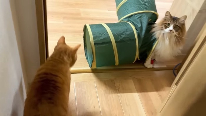 部屋の入り口で