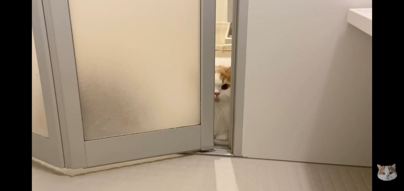 ドアの目の前から覗く姿
