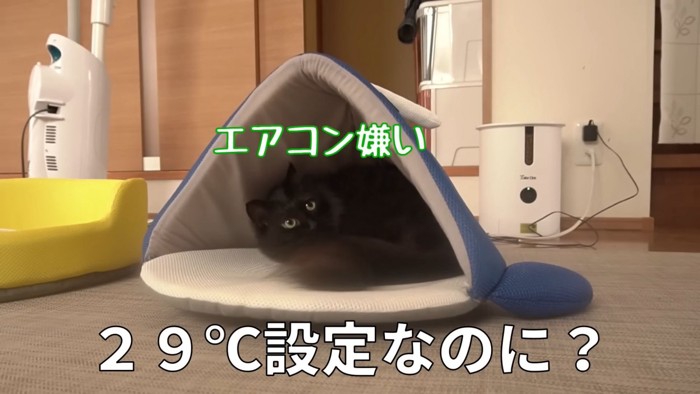 テロップ「29℃設定なのに?」