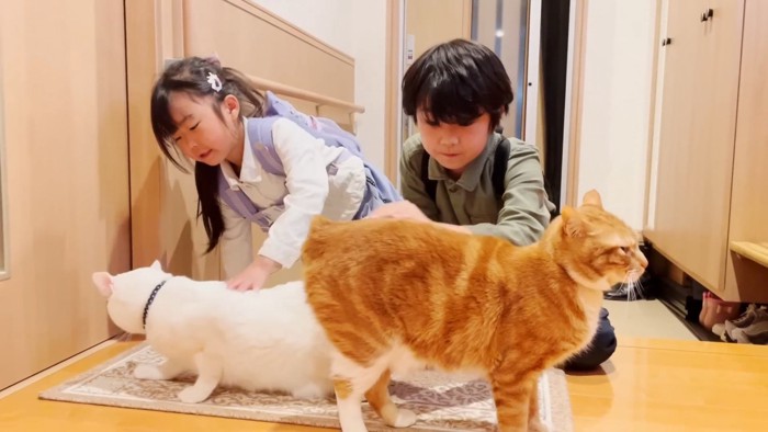 猫をなでるこどもたち