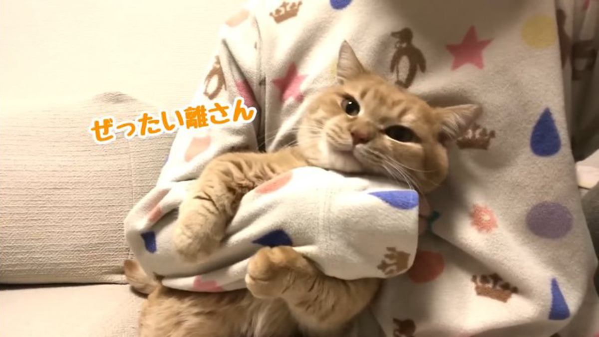 ぜったい離さん