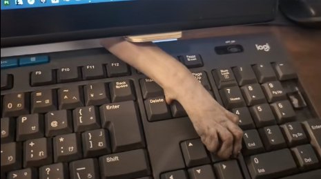 キーボードの上に乗せられた猫の手