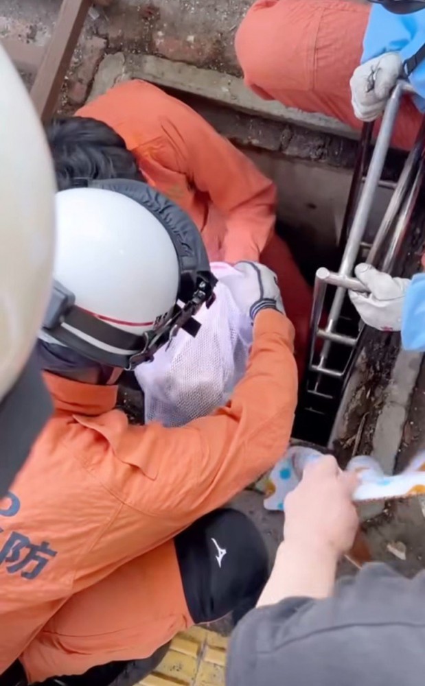 洗濯ネットに入れられる子猫