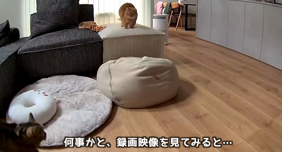 録画映像を見てみると…