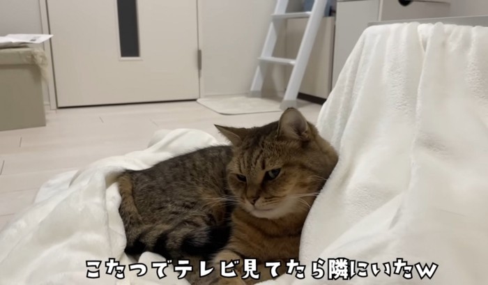 こたつ布団にonするみにらくん