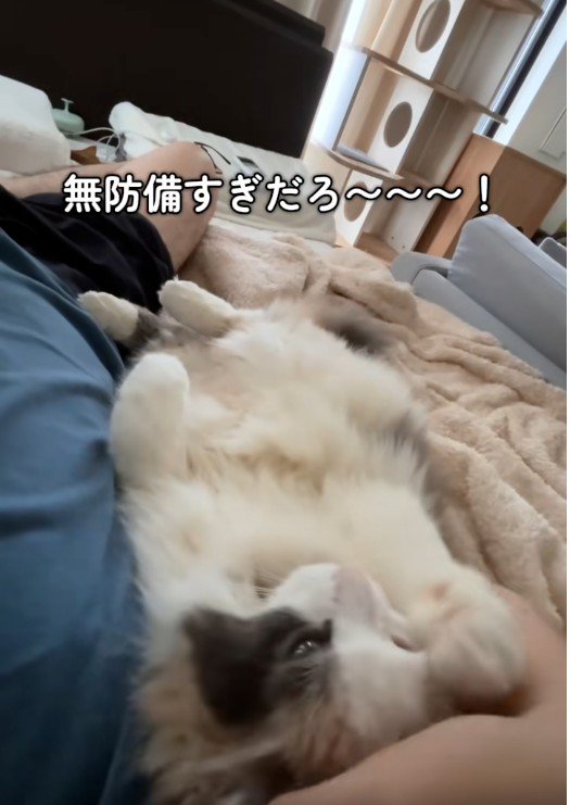 寝転んでいる人と猫