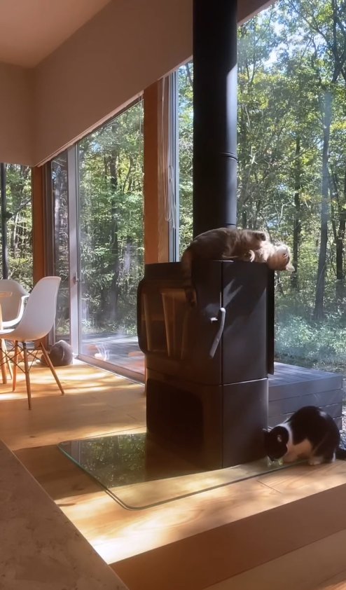 薪ストーブの上でひっくり返るキジトラと近くで香箱座りしてる白黒猫