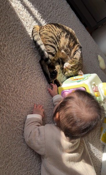 床に寝ている猫と赤ちゃん