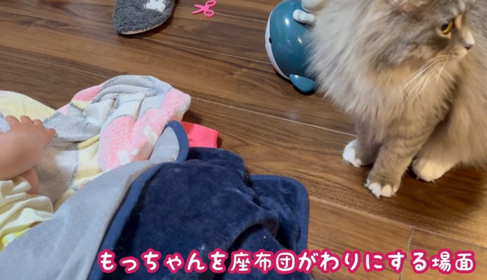 左に寝ている子供右に座る猫