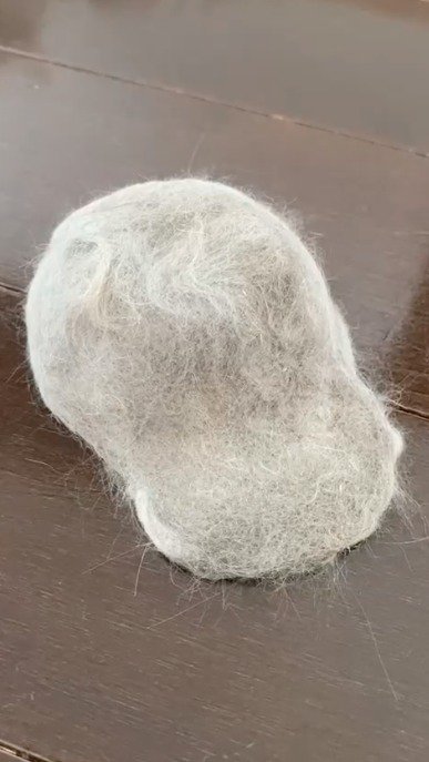 平らに形成した猫の抜け毛