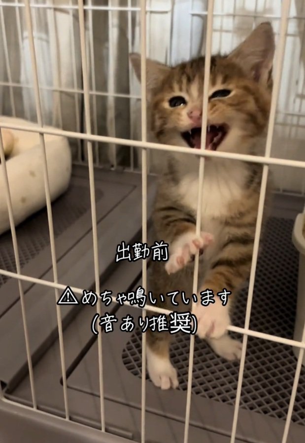 大泣きするにこりちゃん