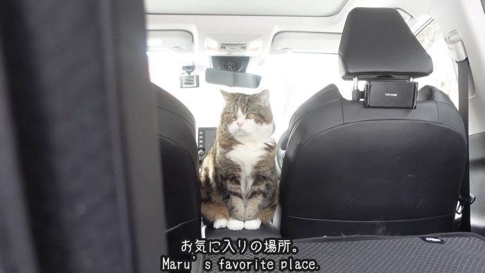 「お気に入りの場所」のテロップ写真