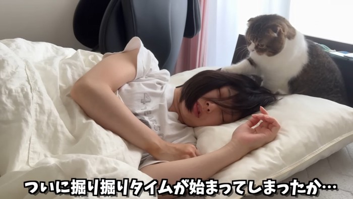 掘り掘りタイム