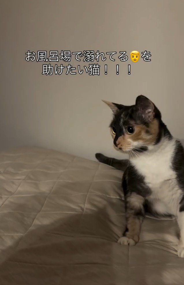 「お風呂で溺れてる…」と書かれた写真1