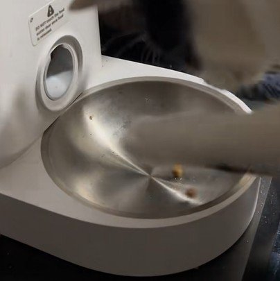 給餌器の穴から出てきた2粒のフード