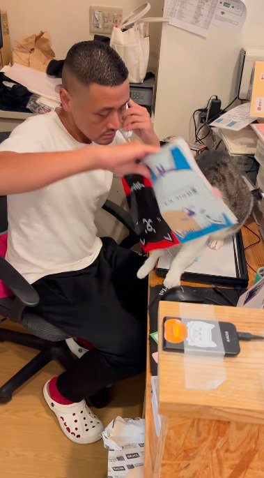 座っている猫の下からノートを取る男性