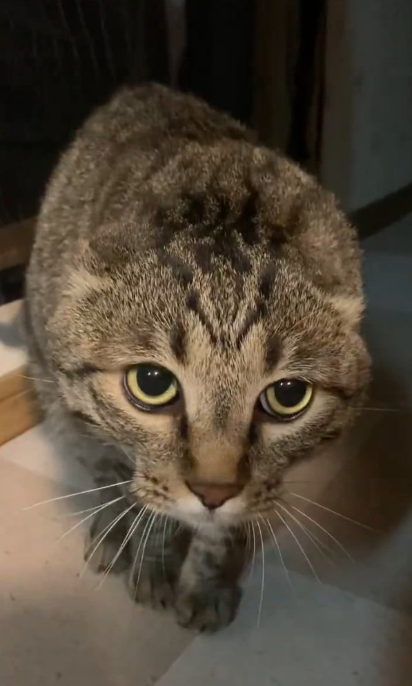 カメラに近づくルイくん