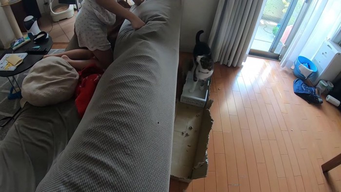 ソファの女の子を見る猫