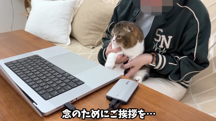 人のひざに乗る折れ耳の猫