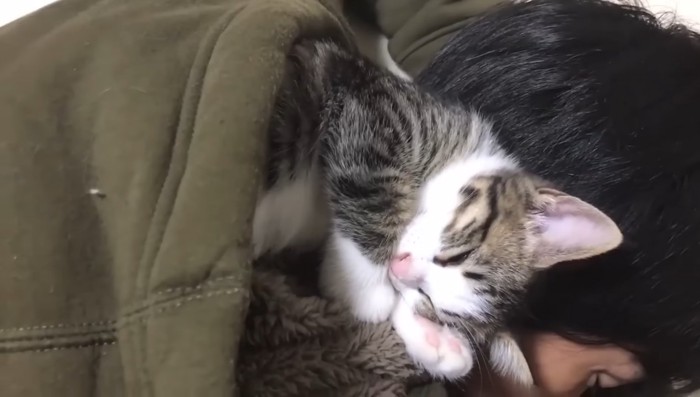 フードの中で熟睡中