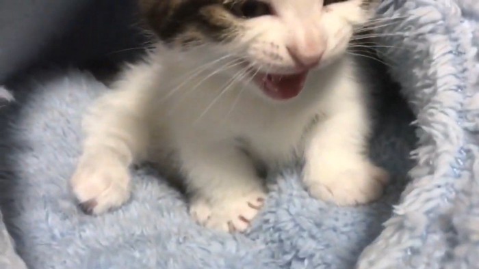 見切れるほどアップ