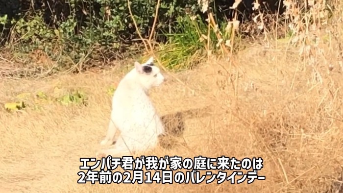 テロップ「エンパチ君が~」